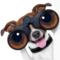 Avatar de doggermaster